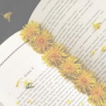 [De plume d&rsquo;auteur.ice] « Ainsi gèlent les bulles de savon » par Marie Vareille