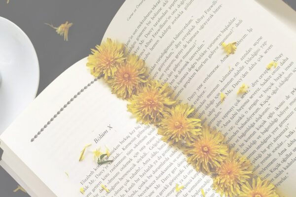 [De plume d&rsquo;auteur.ice] « Ainsi gèlent les bulles de savon » par Marie Vareille