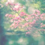 [Rencontre avec] Isabelle Lefèvre Vallée, spécialiste de l&rsquo;enfant et de l&rsquo;adolescent