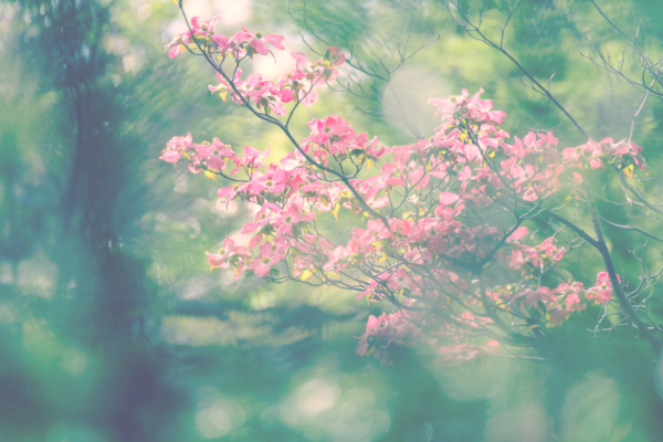 [Rencontre avec] Isabelle Lefèvre Vallée, spécialiste de l&rsquo;enfant et de l&rsquo;adolescent