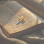 [De plume d&rsquo;auteur.ice] « Femme atypique » par Élodie Crépel